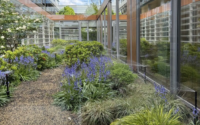 Großflächige Bewässerungsanlage mit Sprühregnern und Tropfrohren auf dem Gelände von SOKA-BAU in Wiesbaden