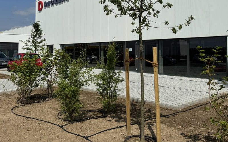 Tropfberegnung mit Tropfrohren und Wurzelbewässerungssystemen für Gewerbeflächen in Büttelborn
