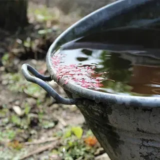 Gartenbewässerung mit Regenwasserzisterne