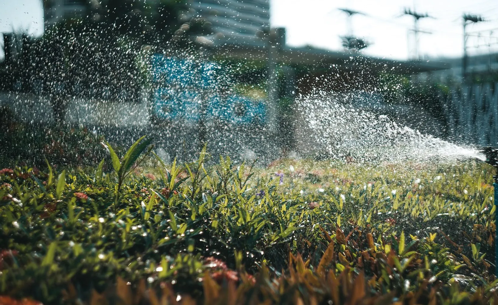 Nahaufnahme eines aktiven Regners bei der Bewässerung einer gewerblichen Außenanlage vor einem modernen Bürogebäude