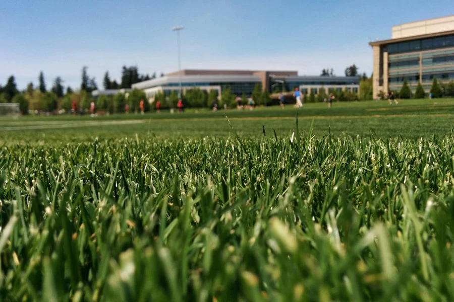 Sportplatzbewässerung –  Technik, Wartung und biologische Notwendigkeiten