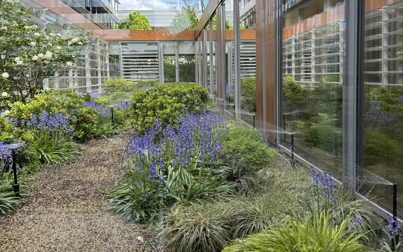 Großflächige Bewässerungsanlage mit Sprühregnern und Tropfrohren auf dem Gelände von SOKA-BAU in Wiesbaden