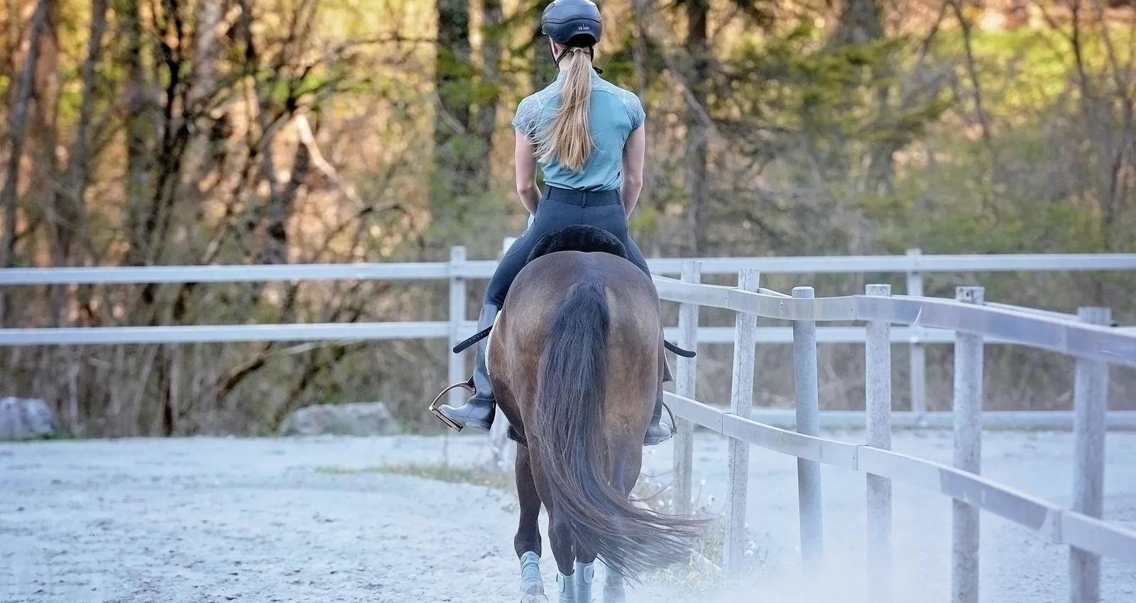 Fachgerechte Reitplatzbewässerung für Hallen und Außenanlagen zur optimalen Staubbindung und Pflege der Tretschicht