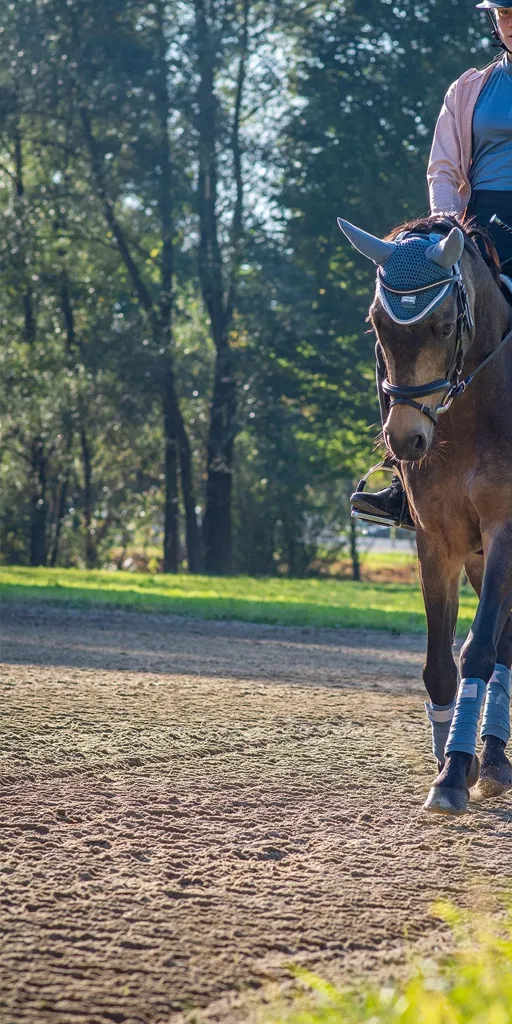 Reitplatzbewässerung Tretschicht Scherfestigkeit Gelenkschutz
