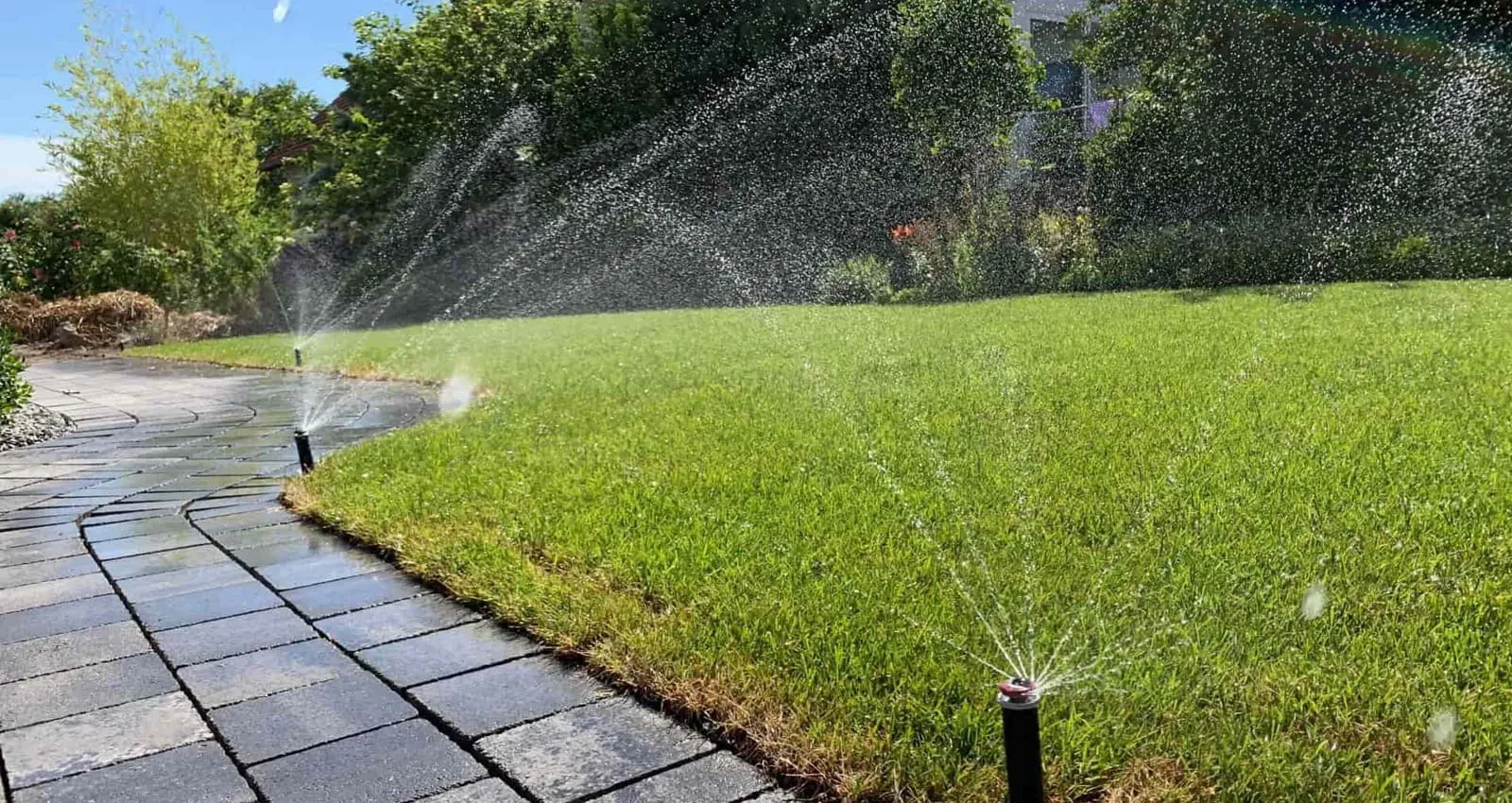 Ein gepflegter, grüner Privatgarten der automatisch besprüht wird